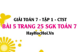 Giải bài 5 trang 25 Toán 7 Tập 1 SGK Chân trời sáng tạo
